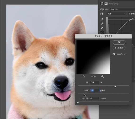 AIを駆使した画像生成